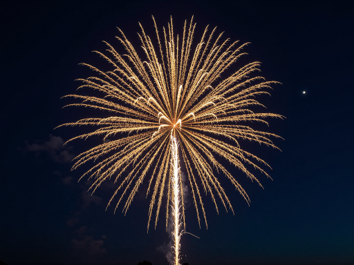 夜晚烟花绽放的美丽瞬间，五彩斑斓的烟花照亮夜空，营造浪漫氛围